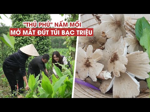 Video Làm chơi ăn thật ở 
