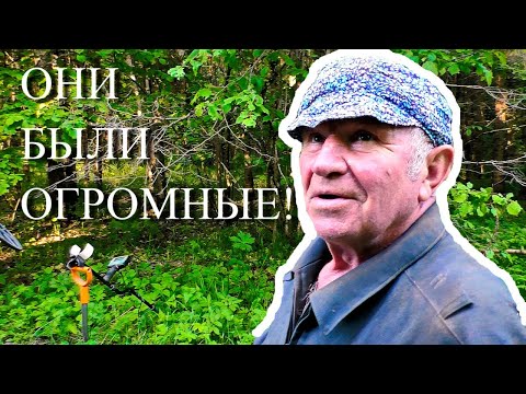 Видео: ОБНАРУЖИЛИ СПРЯТАННОЕ В ЛЕСУ! МЧС ПОДОРВАЛО!