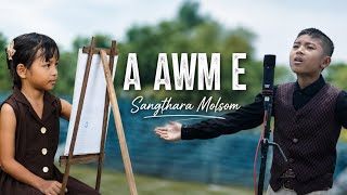 Sangthara Molsom A Awm E Cover