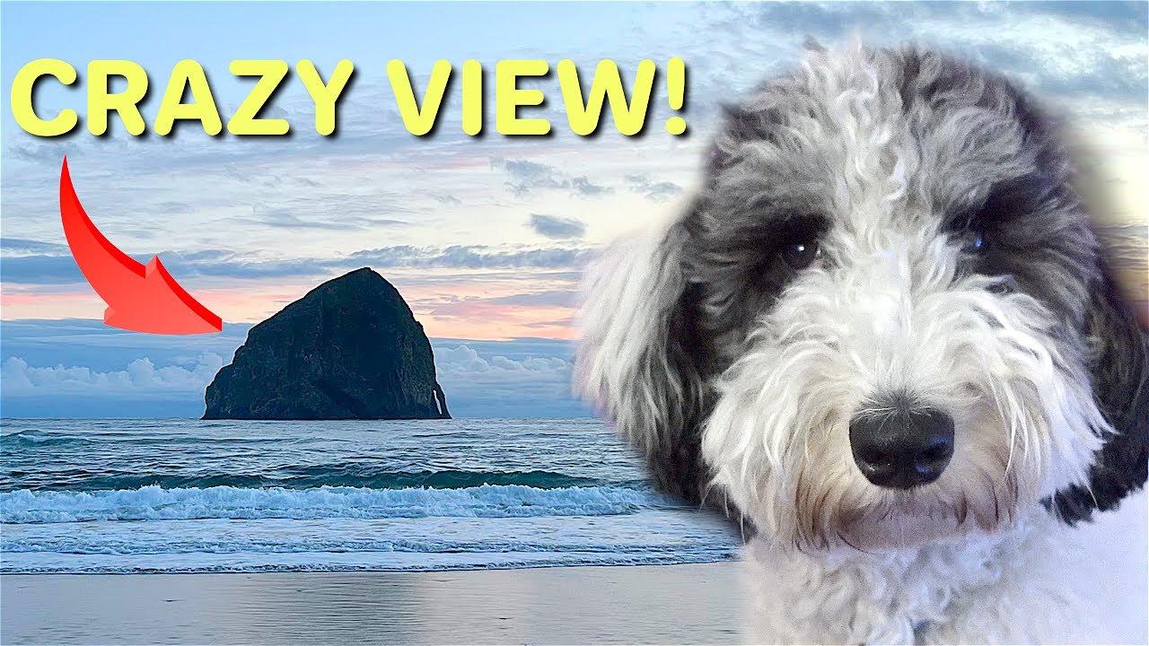 Exploring Oregon’s PRETTIEST Dog-Friendly Hotel!