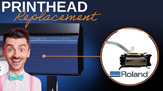Roland TrueVis VG VG2 VG3 SG SG2 Printhead Replacement Print head 300 540 640
