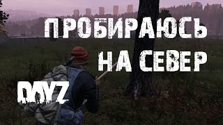 DayZ. Приключения Лысого. Эпизод Второй. Пробираюсь на север. #СталкерБаннерщик #DayZ