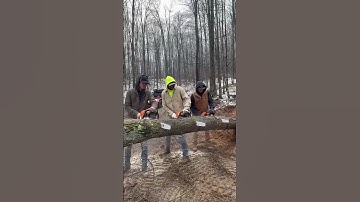 cutting skills #shortsfeed #shortsvideo #shortsvideo #shortsfeed