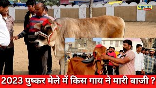 2023 पुष्कर मेले में किस गाय ने मारी बाजी ? || Pashupalan vikas manch
