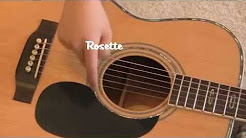 The Different Parts of the Acoustic Guitar