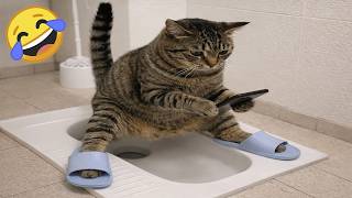Try Not To Laugh 😂 Funniest Cats & Dogs | Funny Animals #14