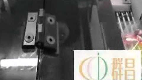 CCP HP450VB Flow Wrapper, Automatic Feed System, Horizontal Flow Wrapper, Feeding Line, Auto Feeding