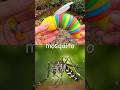 Bug Insect Names | Kids Learn at the Waterfall: Butterfly Mosquito Ant Bee Fly