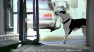 Walt Disney World Magical Express 2005 Commercial
