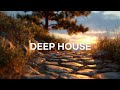 Deep Chill Escape 2025 – Relaxing House Mix inspired by Kygo, Tiësto & Alok