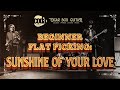 Cigar Box Guitar - Beginner Flatpicking - Sunshine of Your Love