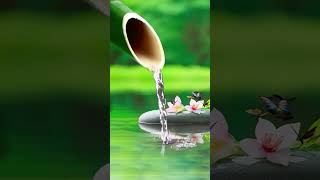 Relaxing Sleep  Insomnia relax  meditation soothingrelaxeveryday  bamboowaterfountain