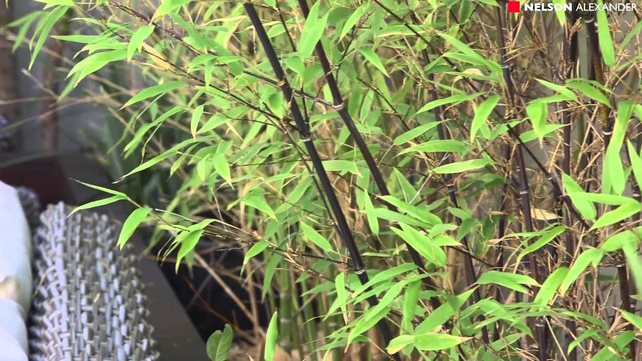 79 Gowanbrae Drive, Gowanbrae For Sale by David Vaughan of Nelson