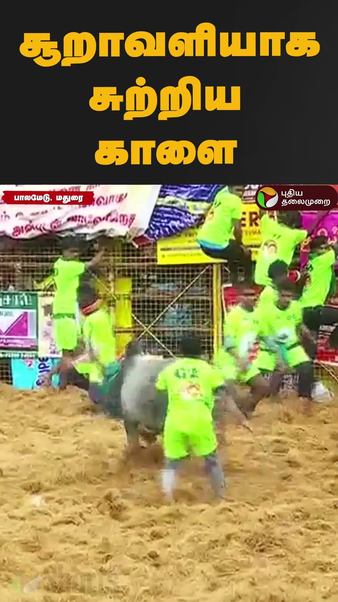 சூறாவளியாக சுற்றிய காளை #palamedujallikattu #shorts #jallikattu #jallikattu2025