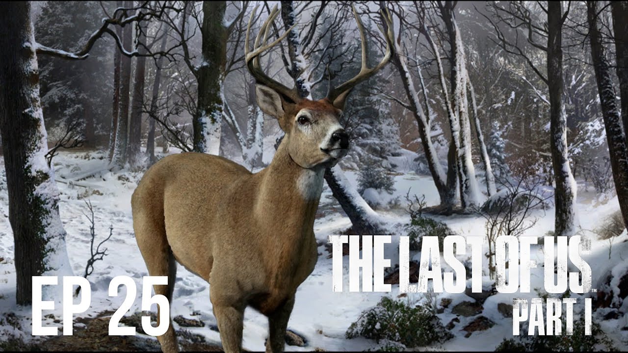 The Last Of Us Part 1 Lakeside Resort Survivor Walkthrough Gameplay PS5 Full Game EP 25 the-last-of-us-part-1-lakeside-resort-survivor-walkthrough-gameplay-ps5-full-game-ep-25