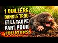 La TAUPE a PEUR de ÇA comme du Feu ! Versez 1 Cuillère dans le Terrier—et Elle Partira pour Toujours