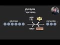 Glycolysis 