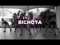 BICHOTA - Karol G | Coreografía Oficial Dance Workout | DNZ Workout | DNZ Studio