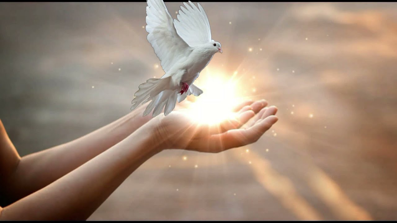 Vieni Santo Spirito (Culla il mio cuore)