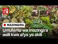 Umuhimu Wa Mazingira Asili Kwa Afya Ya Akili 