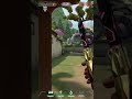How "Solo Playing" loses you rounds, instantly.