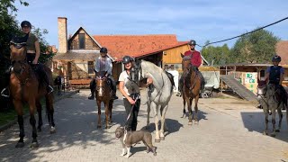Hlídáme s Petrem stáj v Drásově 🏇🏇Týden v TJ Lucky Drásov ⎮ VLOG