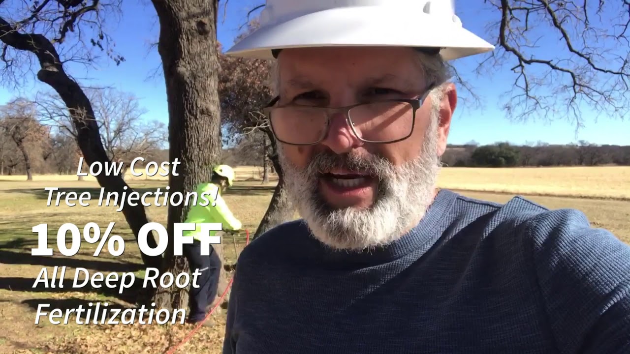 Fast Way To Keep Your Trees Healthy! - YouTube