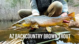 AZ Backcountry Brown Trout