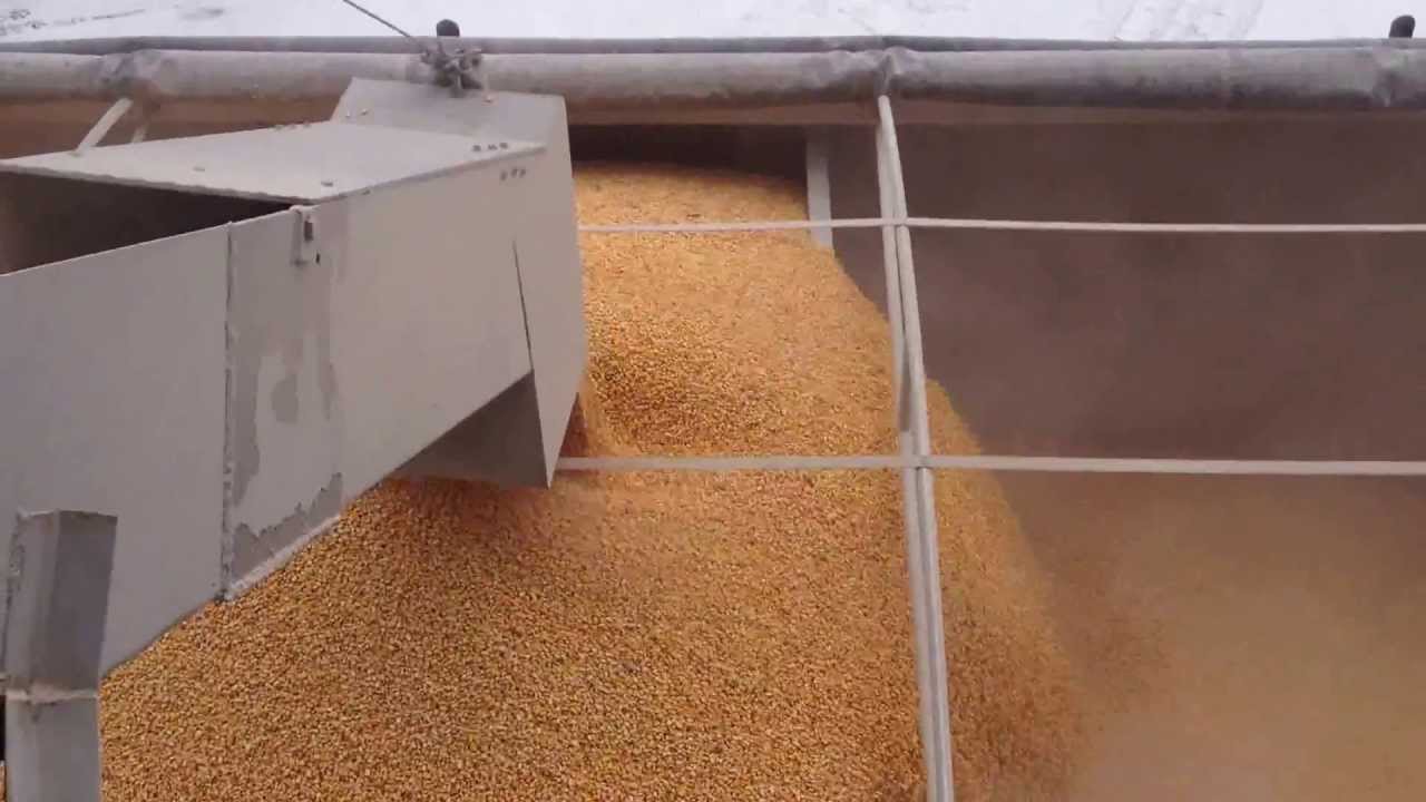 Loading Corn with short leg.