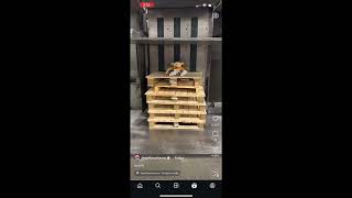 copy_947C1BEB-D0C6-4111-851B-20A635089608.mov