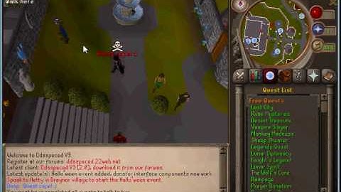 New Runescape Private Server (317)