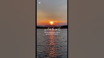 ان الله غفور رحيم❤️#video #آيات #القرآن_الكريم #قرآن