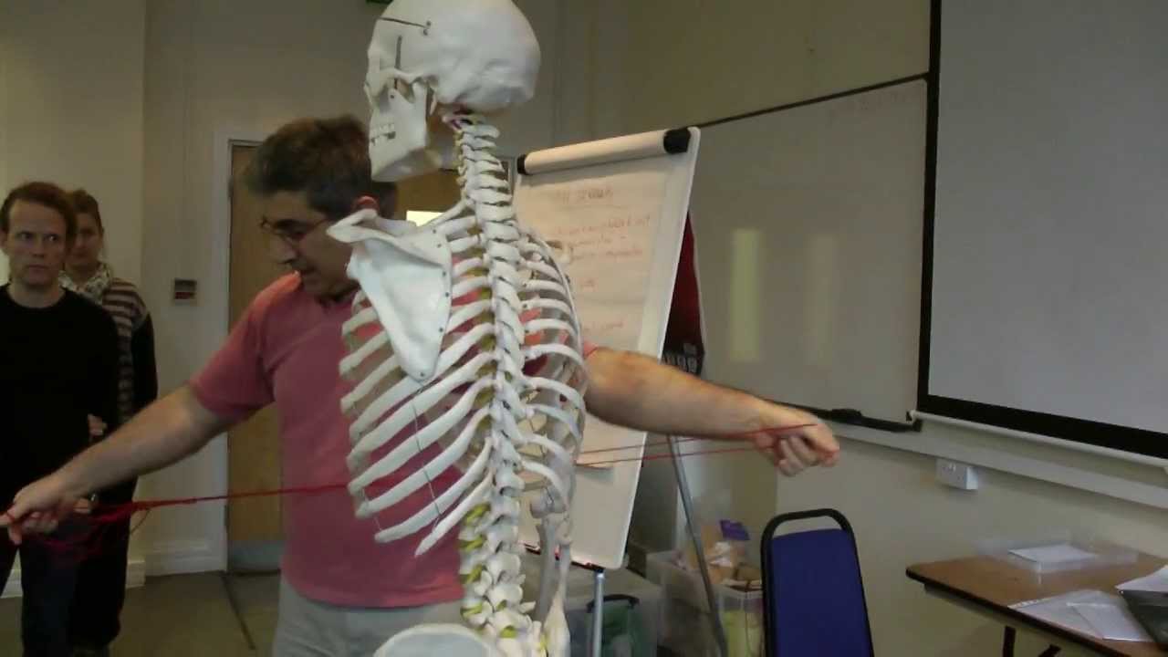 Nervous system around the spine - YouTube