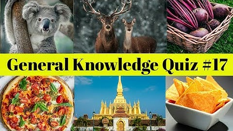 General Knowledge Quiz #17| 20 General Knowledge Questions and Answers|NewLearn