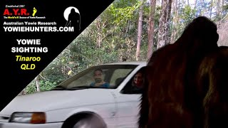 Yowie / Bigfoot Sightings (Audio Report #180) near Lake Tinaroo, Queensland