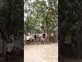 fun Day #ytshorts #youtube #motivation #crrative #army#viral #runner #shorts #instagram #reels #gym