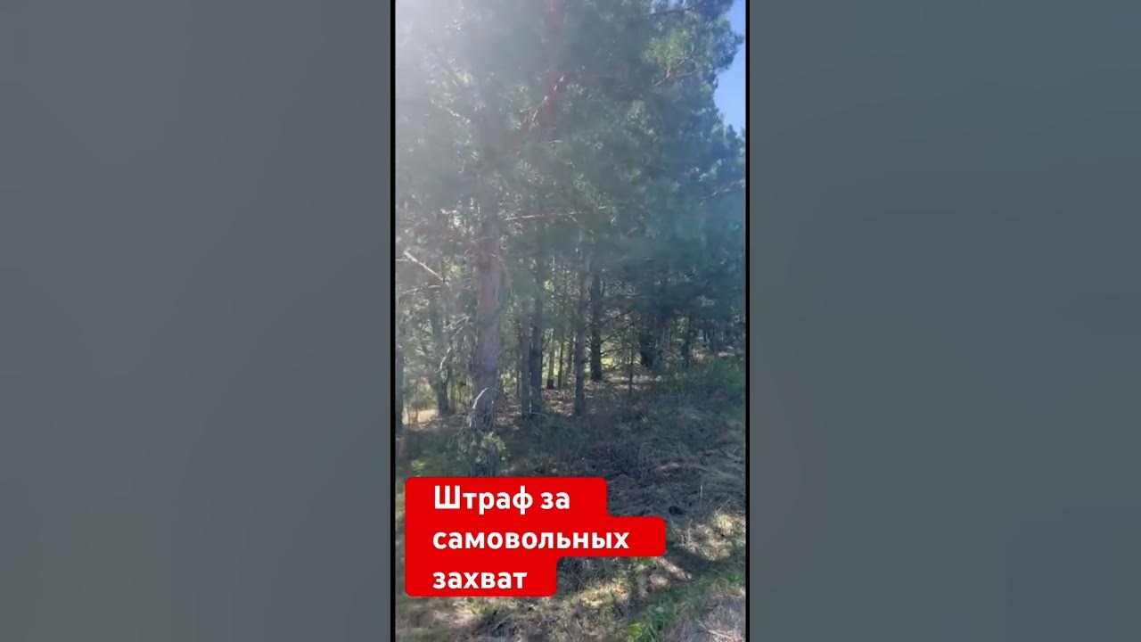 Измерение земельного участка. Самовольный захват земельного участка ответственность. Самовольное занятие земельного участка. Самозахват земли. Самовольное занятие земель.