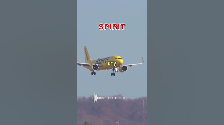 Spirit Demands PRIORITY for VIP Squirrel 🐿️ 😂