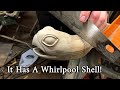 Carving  a large one of a kind turtle