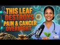 PUT THIS LEAF IN HOT WATER AND DRINK IT — YOUR JOINTS, SKIN AND BLOOD SUGAR WILL THANK YOU