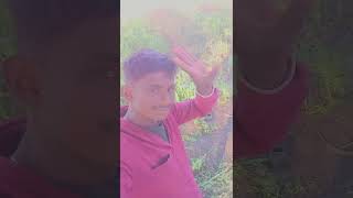 #lifeisbutadream #tiger #love #whowillbemylifepartnerta #10september sd Company ⬆️🚀🔱📷 Instagram