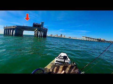 TOSSED a LIVE!