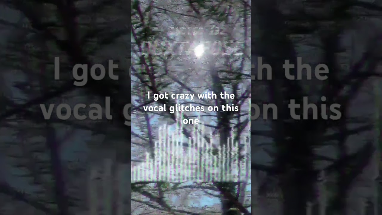 Crazy vocal glitches 