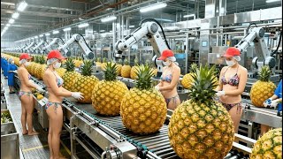 From Field To Factory The High-Speed Journey Of Pineapples Into Premium Canned Goods