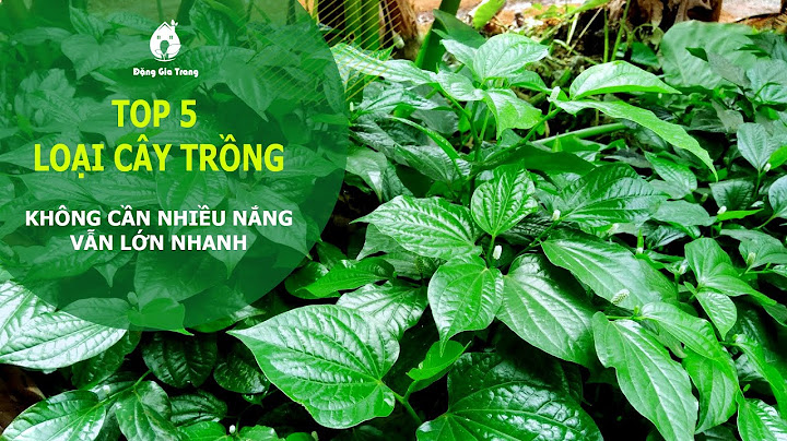 Trong nông nghiệp có những loại cây trồng nào