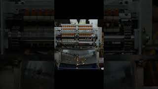 Cashew Shelling Machine in Action | Clean Cuts, Faster Output, Real Results #CashewShellingMachine