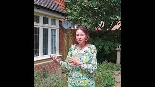 tepeo ZEB vs. Heat Pump: Why this Homeowner Chose a Zero Emission Boiler
