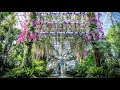 Virtual Tour of The Orchid Show: Jeff Leatham's Kaleidoscope