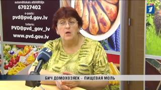 ПБК: Бич домохозяек - пищевая моль
