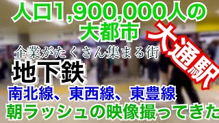 (大通駅)札幌市営地下鉄南北線、東西線、東豊線の3路線の朝ラッシュの映像。札幌市営地下鉄が混んでいる以外の場所は、〇〇￼